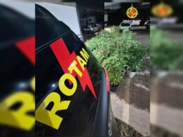 jardim-do-crime:-pmdf-encontra-53-pes-de-maconha-em-condominio.-video