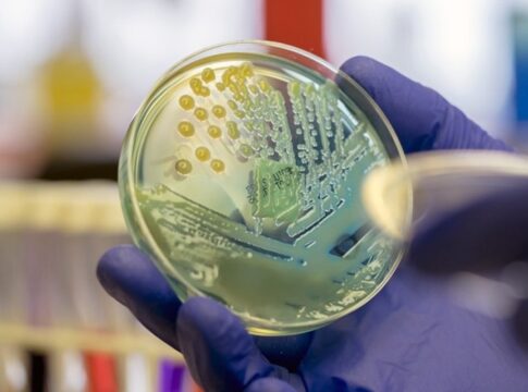 saiba-qual-e-a-superbacteria-se-espalhou-pelo-hospital-da-crianca saiba-qual-e-a-superbacteria-se-espalhou-pelo-hospital-da-crianca