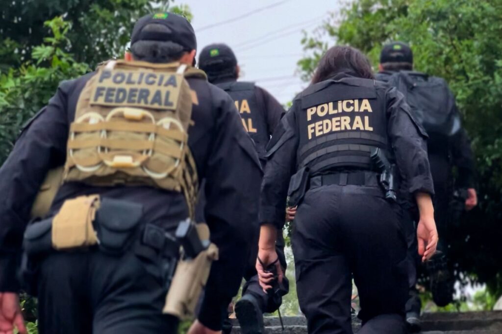 pf-desmonta-rede-criminosa-que-vendia-“cogumelos-magicos”-em-sc