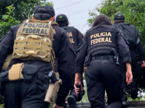 pf-desmonta-rede-criminosa-que-vendia-“cogumelos-magicos”-em-sc