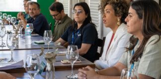 comissao-da-camara-pede-que-ibama-fiscalize-crimes-ambientais-da-csn