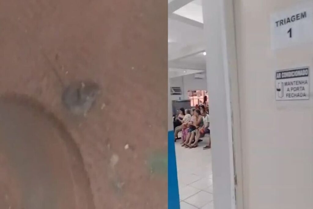 ms:-paciente-denuncia-falta-de-higiene-apos-rato-ser-visto-em-upa