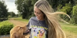 golden-e-resgatado-de-caminhao-e-“renasce”-com-o-amor-de-uma-familia