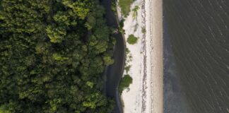 “nao-existe-planeta-b”,-alerta-astrofisico-as-vesperas-da-cop30