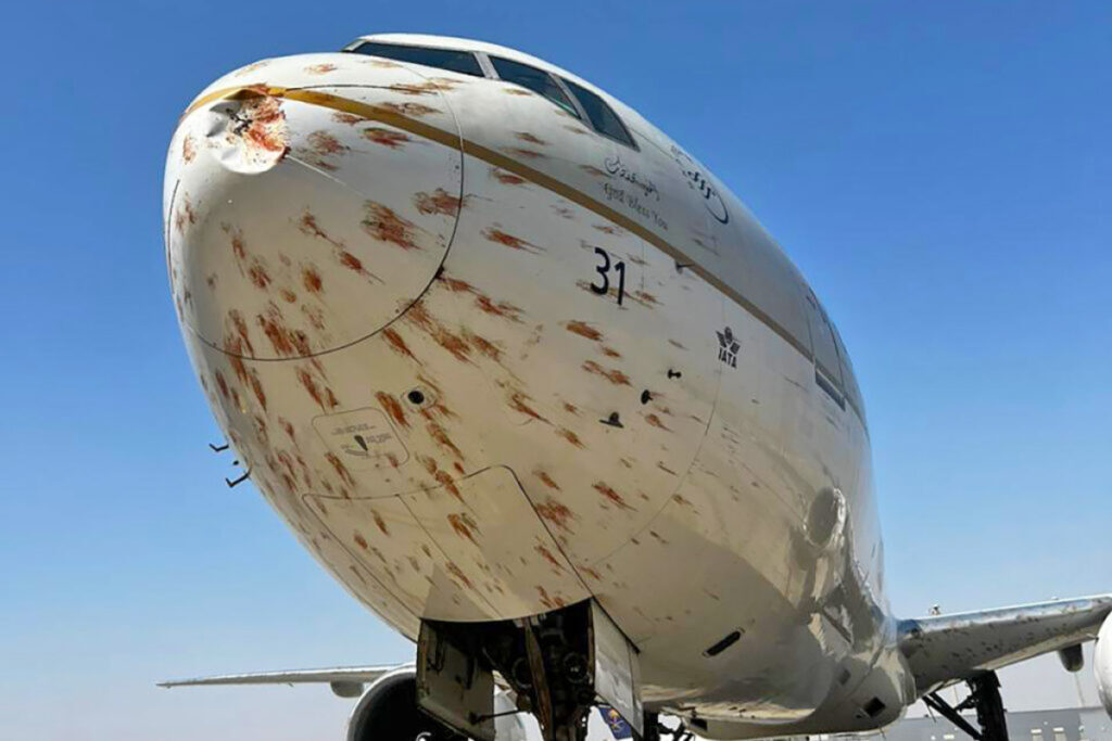 video:-aviao-atinge-passaros-na-decolagem-e-fica-coberto-de-sangue