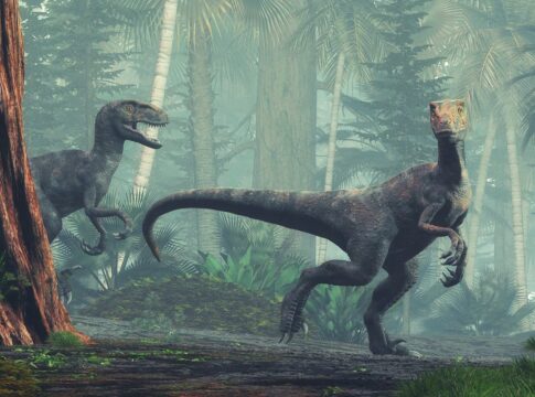 cientistas-descobrem-pegadas-ineditas-de-dinossauros-na-amazonia