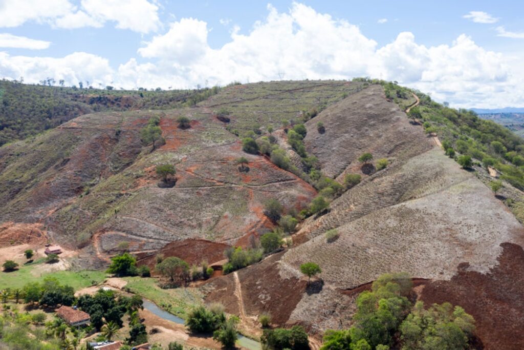 mata-atlantica:-22%-da-area-recuperada-voltaram-a-ser-derrubados