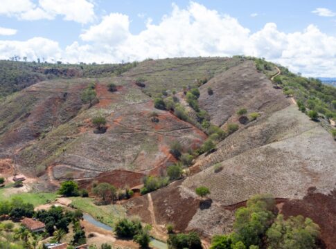 mata-atlantica:-22%-da-area-recuperada-voltaram-a-ser-derrubados