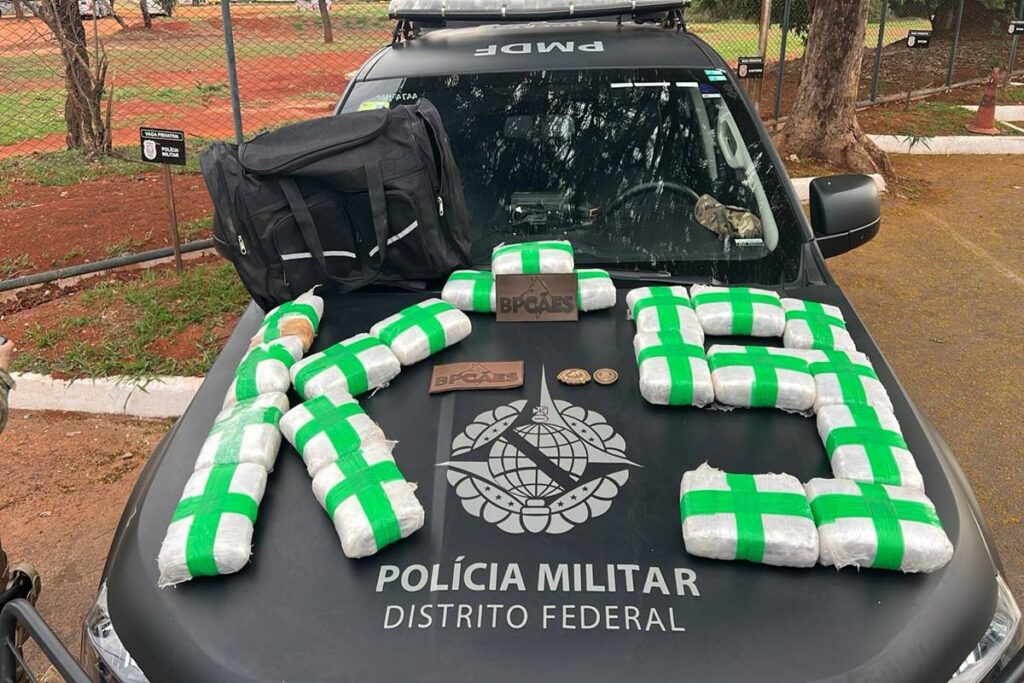 cao-fareja-20kg-de-maconha-em-mala-na-rodoviaria-de-brasilia