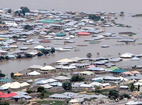 mosquitos-e-humanos-(eduardo-silva)