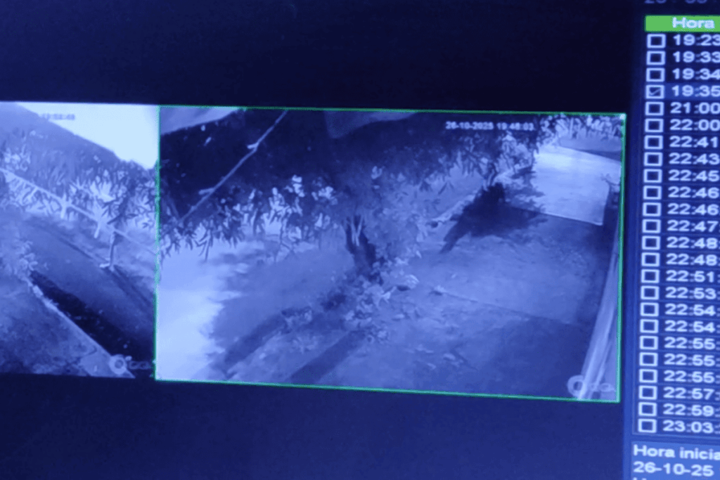 video:-pai-mata-filha-com-golpes-de-barra-de-ferro-em-calcada-de-sp