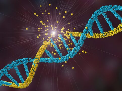 cientistas-identificam-nova-doenca-genetica-rara-que-afeta-os-musculos