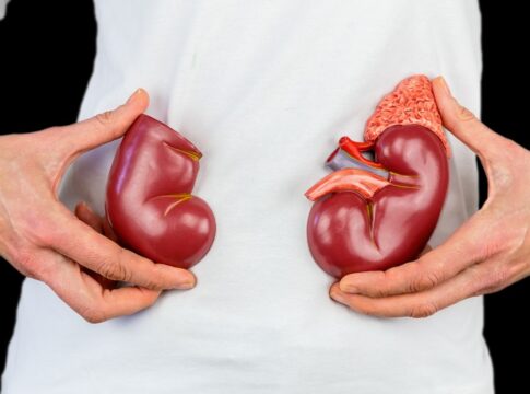 alem-da-agua:-6-alimentos-que-mantem-os-rins-saudaveis