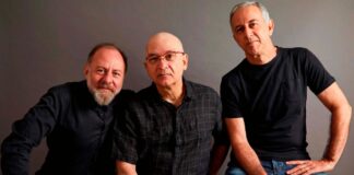 o-repertorio-imortal-dos-paralamas-do-sucesso-chega-a-brasilia