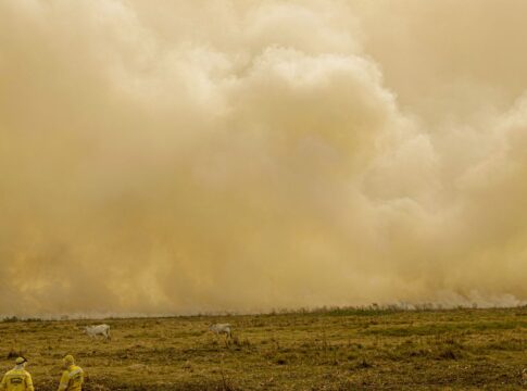 calor-ja-mata-meio-milhao-de-pessoas-por-ano,-alertam-cientistas