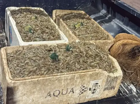 pesca-ilegal:-homens-sao-presos-com-100-kg-de-camarao-no-lago-paranoa