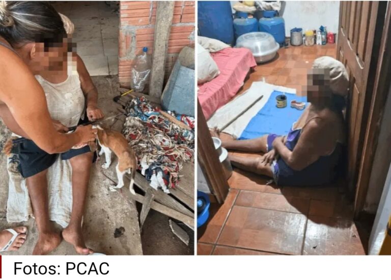 Cadela é resgatada de maus-tratos no AC; dona vive em vulnerabilidade