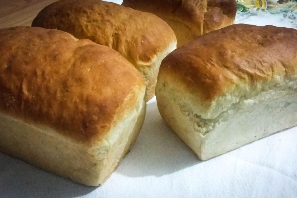 pao-de-minuto-fica-pronto-em-meia-hora-e-leva-poucos-ingredientes