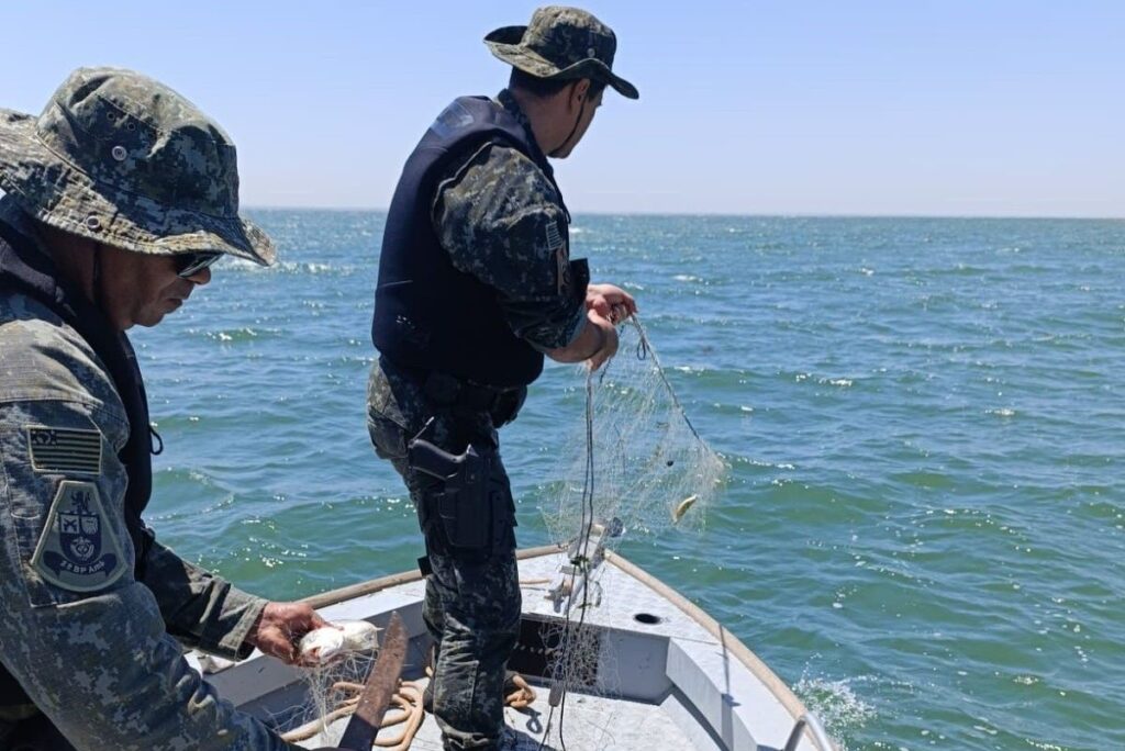 ibama-restringe-pesca-na-piracema-e-pm-ambiental-aponta-risco-de-multa