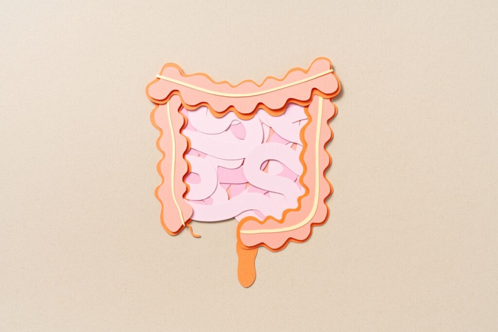 probioticos-podem-reduzir-danos-intestinais-causados-por-antidepressivos