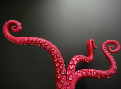 fetiche-por-tentaculos:-da-origem-japonesa-a-sex-toys-para-conhecer