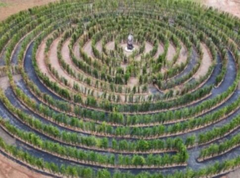 pequena-cidade-catarinense-abriga-o-maior-labirinto-do-sul-do-brasil