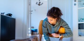 confira-3-dicas-para-tirar-o-cheiro-de-xixi-de-cachorro-de-casa