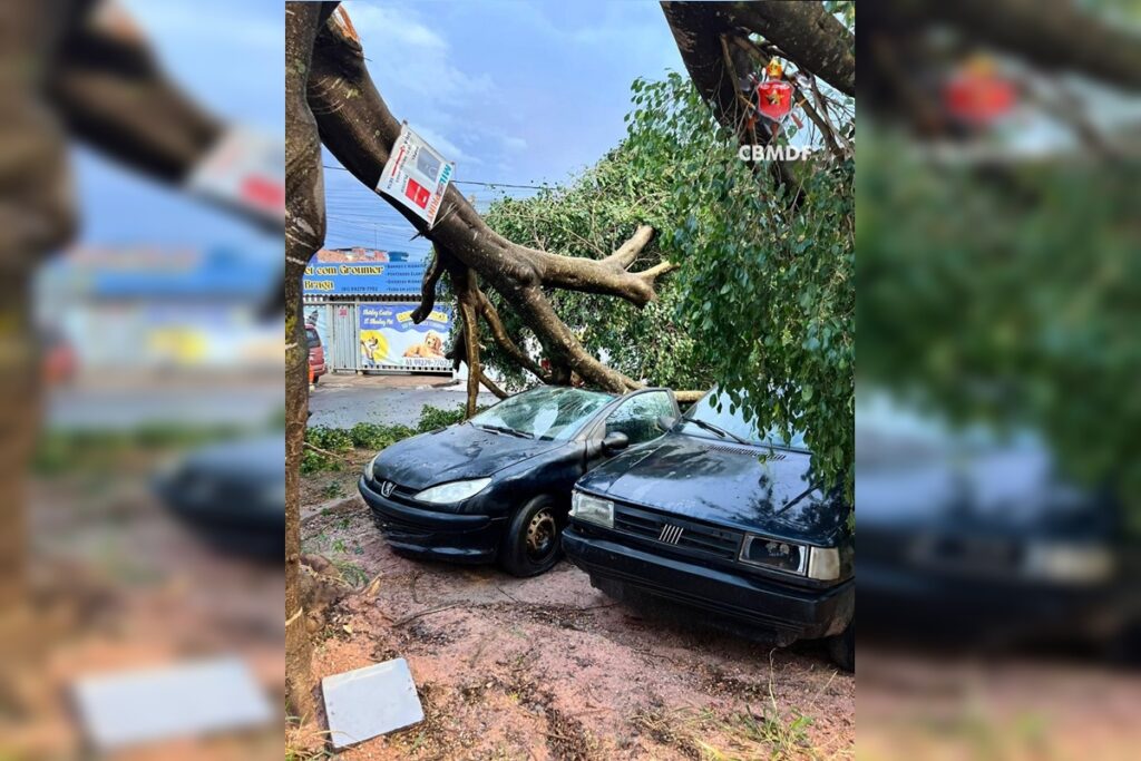 chuva-forte-derruba-arvores-e-causa-estragos-em-casas-em-regiao-do-df