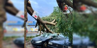 chuva-forte-derruba-arvores-e-causa-estragos-em-casas-em-regiao-do-df
