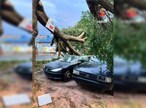 chuva-forte-derruba-arvores-e-causa-estragos-em-casas-em-regiao-do-df