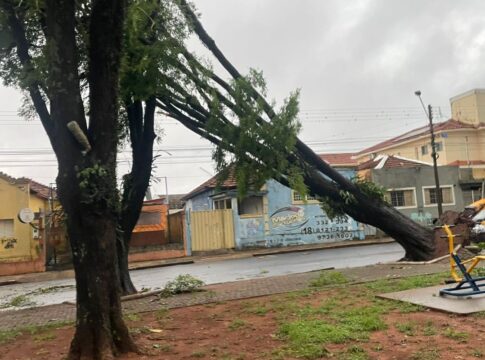 prefeitura-de-assis-suspende-aulas-apos-estragos-causados-por-temporal