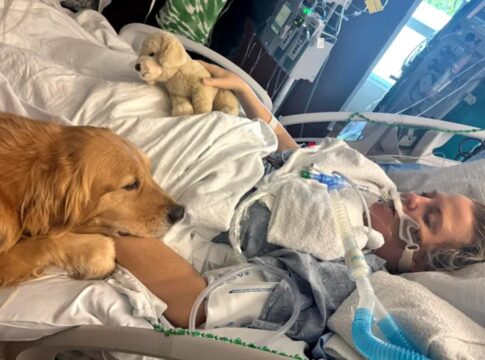 cao-visita-tutora-em-coma-induzido-e-causa-mudanca-surpreendente