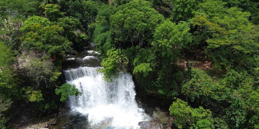 fronteira-cerrado:-ativistas-pedem-mesma-prioridade-dada-a-amazonia