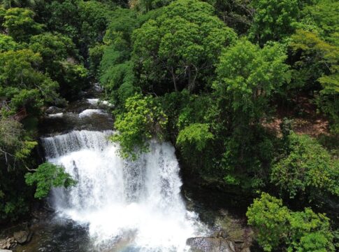 fronteira-cerrado:-ativistas-pedem-mesma-prioridade-dada-a-amazonia