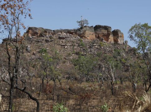agencia-brasil-lanca-primeira-reportagem-da-selecao-nadia-franco