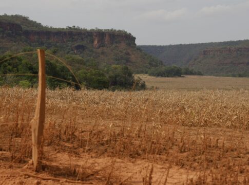 fronteira-cerrado:-acesso-desigual-ao-estado-agrava-conflitos-agrarios