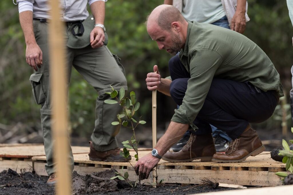 principe-william-revela-nova-parceria-para-os-protetores-da-natureza