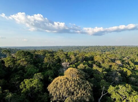 cop30:-o-que-e,-quando-acontece-e-o-que-sera-discutido-em-belem