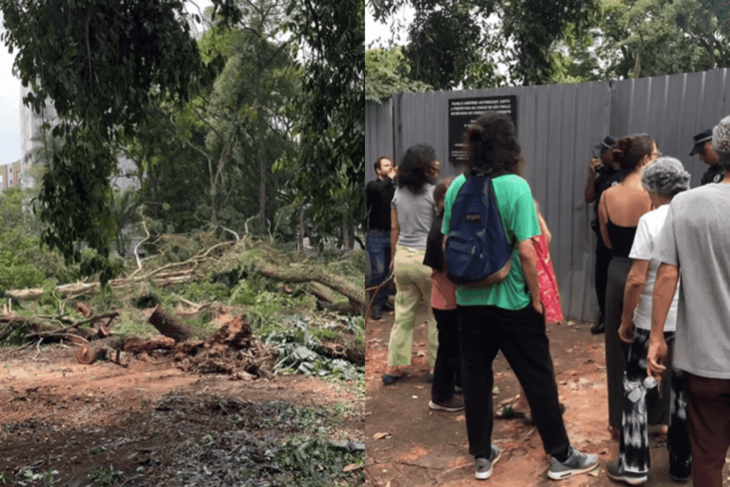 bosque-dos-salesianos:-moradores-protestam-contra-construcao-de-predio