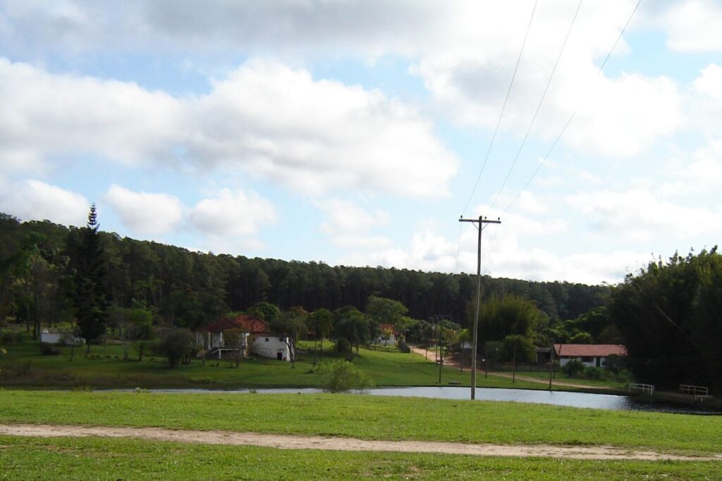 juiz-contesta-tarcisio-sobre-doacao-de-area-protegida-para-aeroporto
