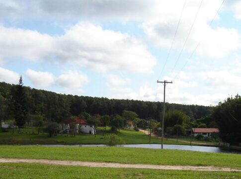 juiz-contesta-tarcisio-sobre-doacao-de-area-protegida-para-aeroporto