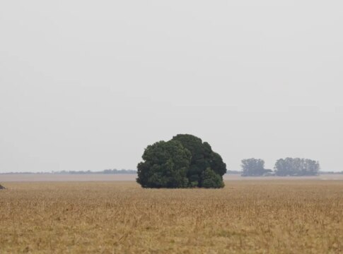 fronteira-cerrado:-o-agronegocio-entre-desenvolvimento-e-destruicao