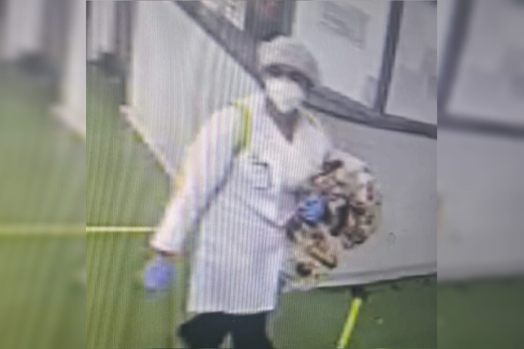 medica-que-sequestrou-bebe-e-presa-suspeita-de-homicidio-em-goias