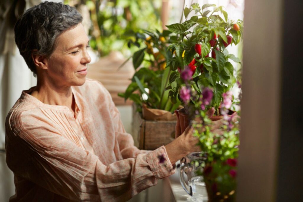 veja-3-plantas-que-podem-ajudar-a-aliviar-sintomas-da-depressao