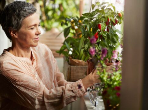 veja-3-plantas-que-podem-ajudar-a-aliviar-sintomas-da-depressao
