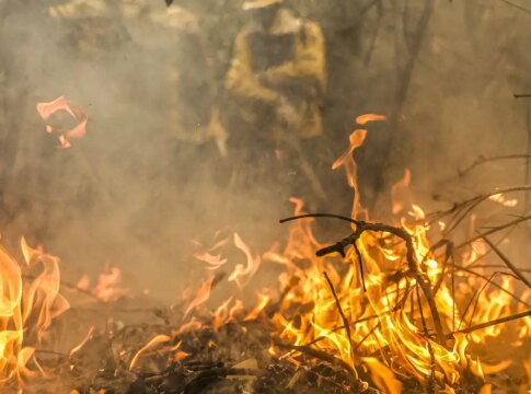 pantanal-e-o-bioma-mais-atingido-pelo-aumento-da-temperatura-no-pais