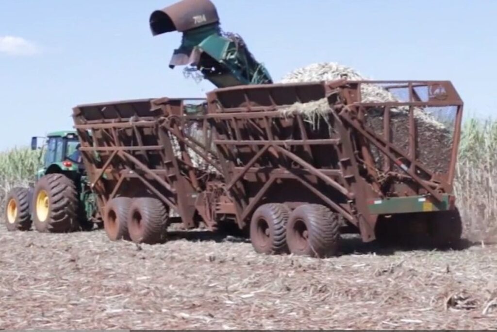 justica-determina-reintegracao-de-posse-em-usina-que-teria-elo-com-pcc