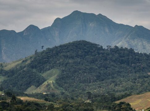 sos-mata-atlantica-mobiliza-setor-privado-para-conservacao-do-bioma