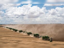 quais-sao-e-quanto-devem-as-maiores-empresas-do-agro-em-recuperacao-judicial