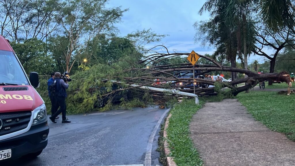 arvore-cai,-derruba-poste-sobre-carro-e-mulher-fica-presa-em-veiculo